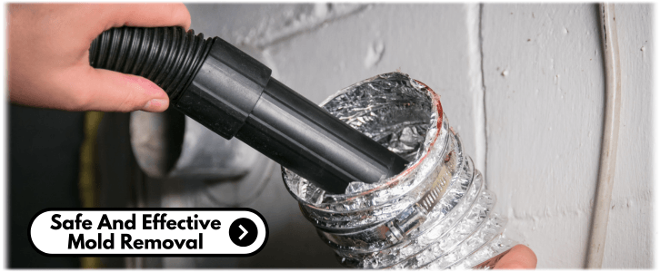 Air Duct Mold Removal in Frisco TX