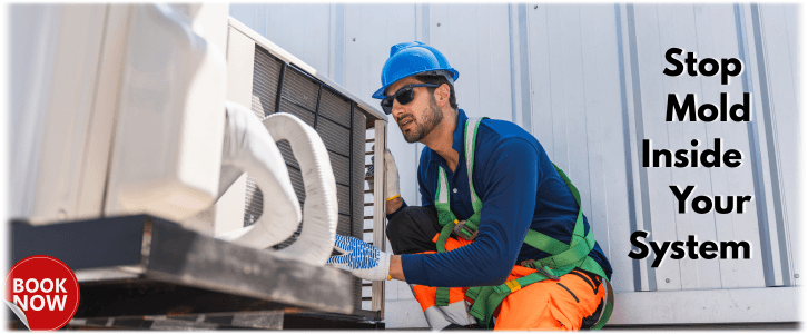 HVAC Mold Removal Frisco TX